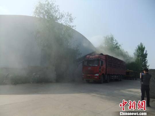 中储粮河南万吨小麦“被忘”7年变质:连猪都不能吃