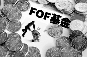 FOF三季度基金投资策略分化