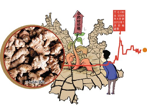 云南干旱再袭 三七等多种药材或涨价