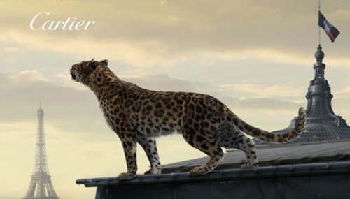 卡地亚3分30秒广告片吸引800万观众_财经_腾讯网