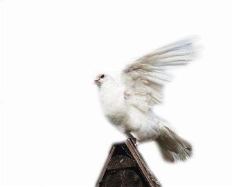 ���Ÿ���� ���˾����Ÿ�ȡ�ΰ�硱