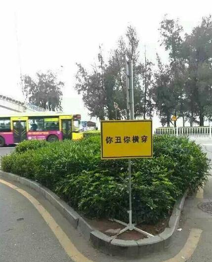 厦门:你丑你横穿标语劝阻效果明显 行人横穿
