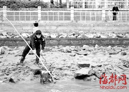 闽江上漂来一只黑熊尸体,打捞后让人大跌眼镜 黑熊尸体 黑熊尸体真相 闽江打捞黑熊尸体
