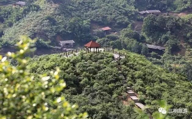 上塘村人口_人口普查(3)