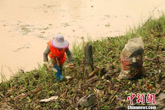 消灭垃圾人口_清运垃圾 灭蚊防病 -恩平市卫生和计划生育局政务信息网欢迎您(2)