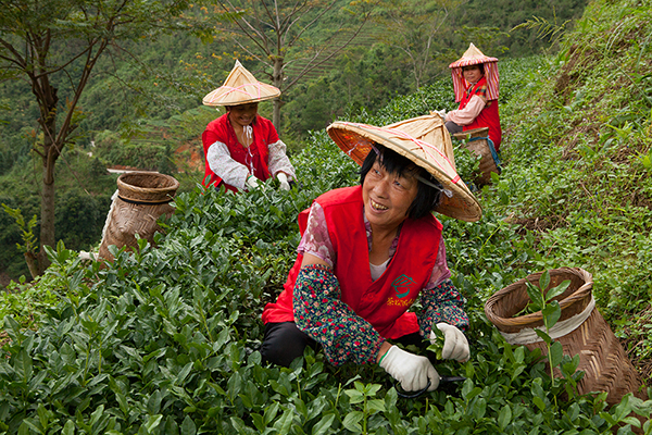 宗姓人口_宗姓有多少人口 宗姓起源及分布(2)