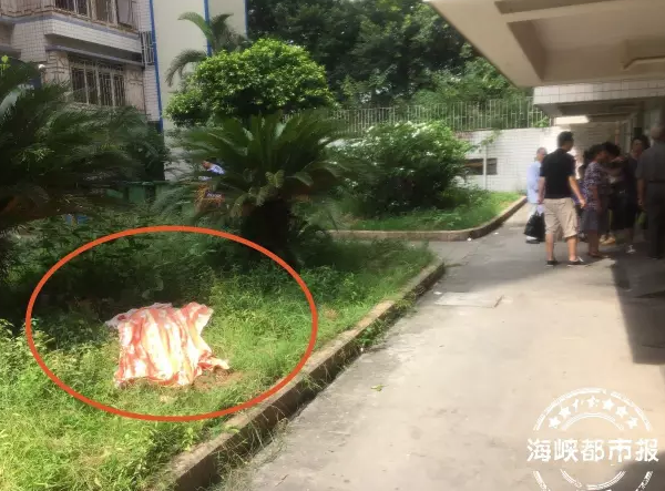 突发！女子趁丈夫外出从七楼跳下 当场身亡