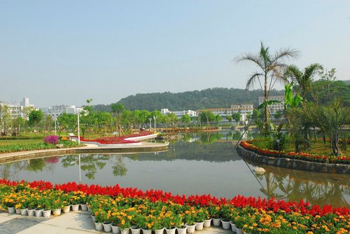 福建农林大学艺术生_郑晓燕 福建农林大学_福建农林大学