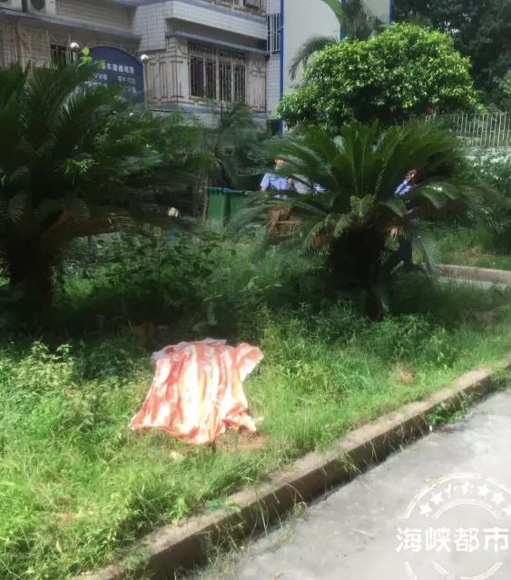 突发！女子趁丈夫外出从七楼跳下 当场身亡
