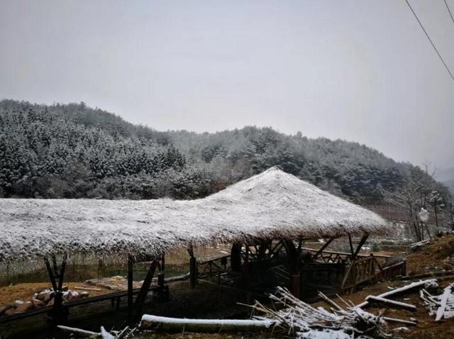 雨露乡人口_人口普查(3)