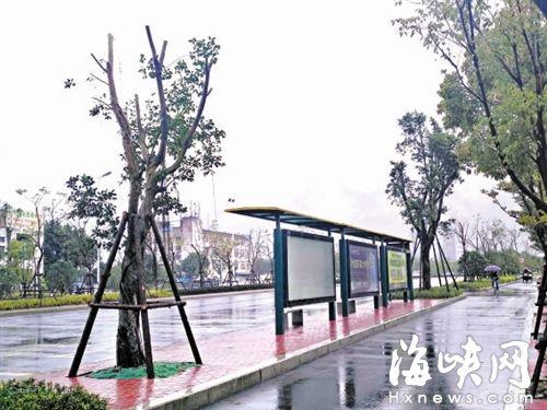 福州公交站"见缝插绿" 首条示范路化工路完工_大闽网_腾讯网