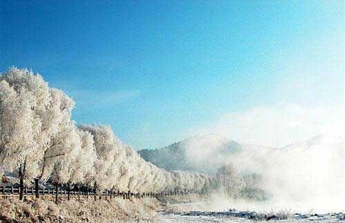 简谱查干湖_查干湖冬捕