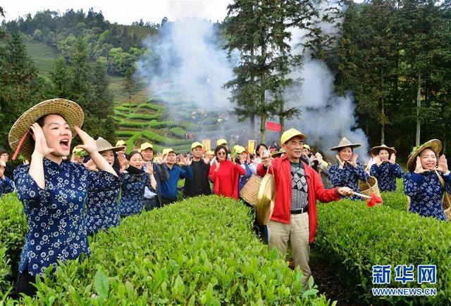 武夷山：生态茶园 祭茶喊山图1