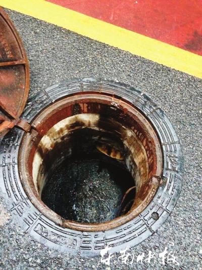 福州餐饮油污直排雨水井引来油贩 恐流回餐桌