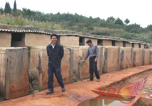 YBC创业青年袁彪:养殖野猪带来生态农家乐