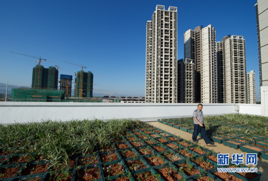 福建省总人口有多少_福建总人口有多少,移动客户突破3000万 莆仙资讯 莆仙网(2)