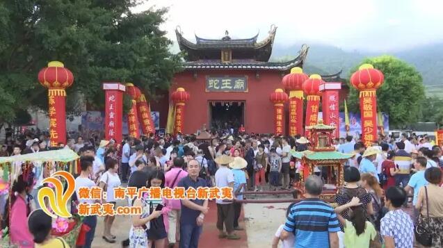 蛇王巡街手指钓蛇南平这地方惊现好多蛇