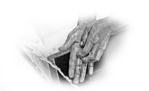 晋江一母亲扫马路养猪 只为儿女未来幸福(图)