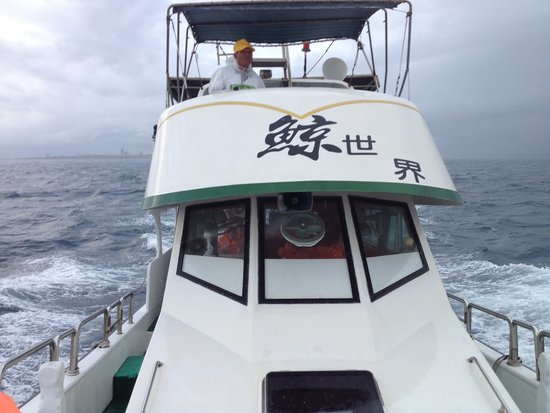 台湾游精品推荐:在花莲观赏太平洋上的鲸豚