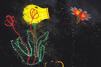 三坊七巷元宵花灯展创意多 传统灯会玩转时尚