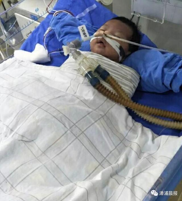 漳州宝宝刚满月被诊断先天性心脏病 急需求助