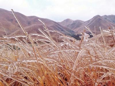 福建寒冷天气将持续到14日 多地仍将降雪