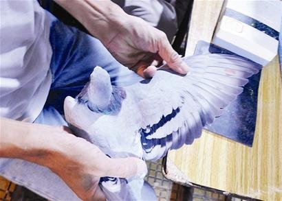 ���Ÿ���� ���˾����Ÿ�ȡ�ΰ�硱