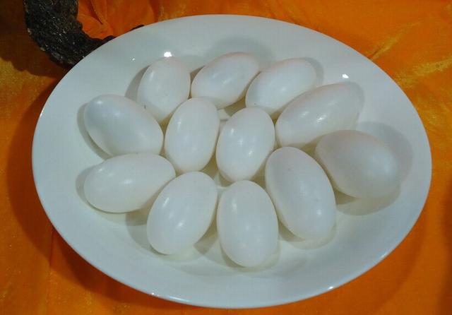 “剥壳”鳄鱼蛋:功效至今未明 _大闽网_腾讯网