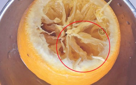 橙子加盐蒸出数条虫 专家判断是桔小实蝇幼虫
