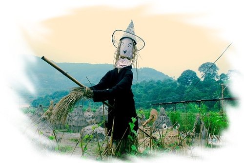 闽侯乡村游好去处 白沙湾植物主题迷宫