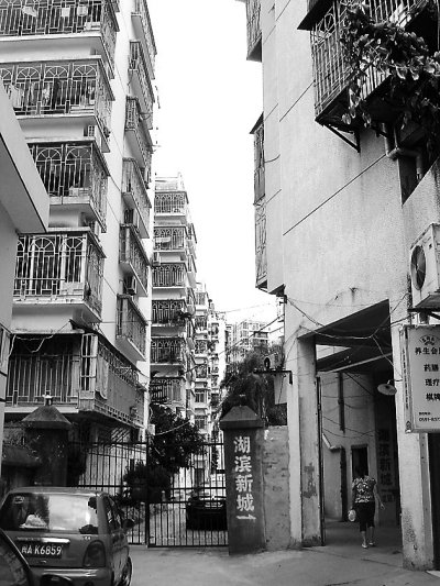 福州一小区老鼠横行 不管大叫还是跺脚都吓不走