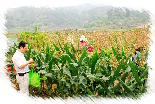 闽侯乡村游好去处 白沙湾植物主题迷宫