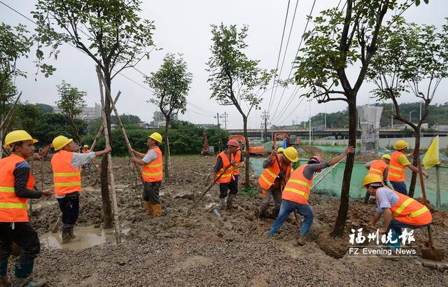 仓山二季度开工28个项目南台大道南段将成林荫大道