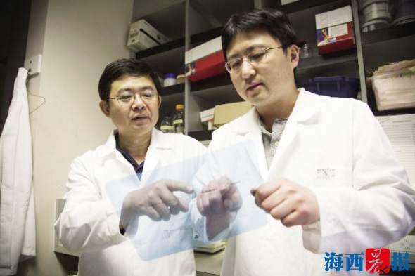 厦大抗癌新药在美获准临床测试 将造福结肠癌