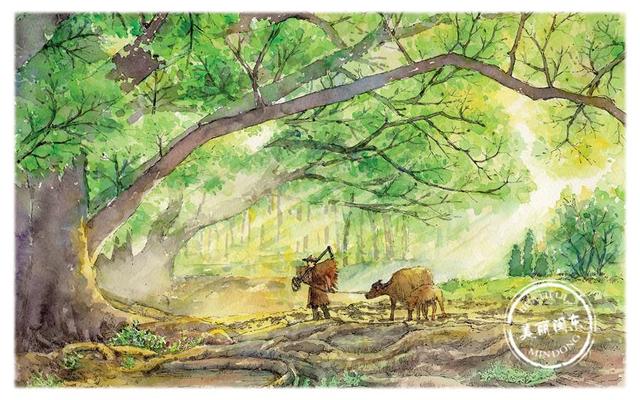 宁德这座奇幻的小城,被无数人列为此生必去的地方!