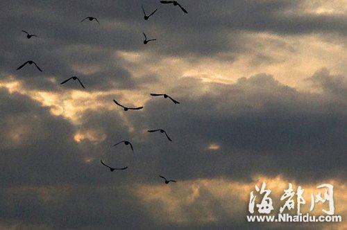 福州过去四天福州雨量超100毫米 明起暂别雨水