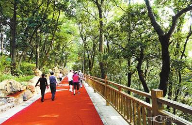 泉州漳州龙岩收获国家级荣誉 全国共27城市获得