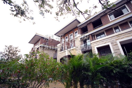 阳光小镇个人简介资料 38891552.jpg