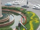 Ȫ�����С����족�е�ǰ��ˮ��ϴ�� ���Ѿ���