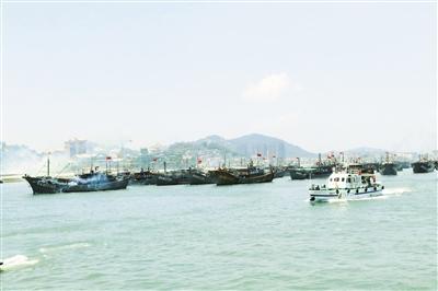 漳州：打造渔港经济区 带动海洋经济发展