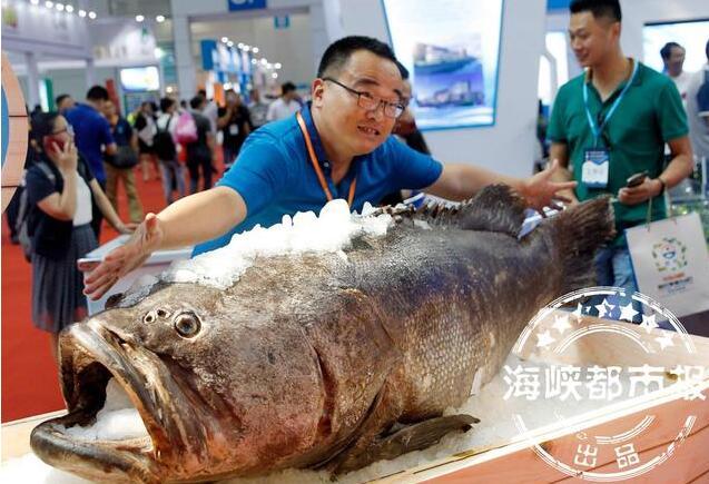 渔博会昨在榕闭幕 项目签约金额近200亿