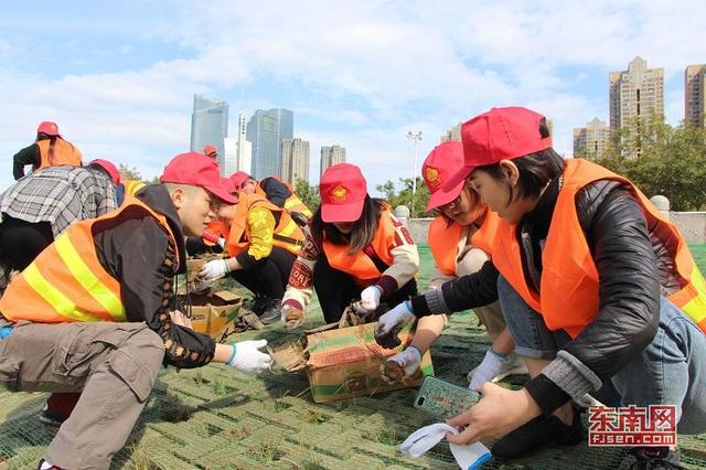 闽江公园举办植树节活动 200多人“插秧”打造绿色生态江岸图2