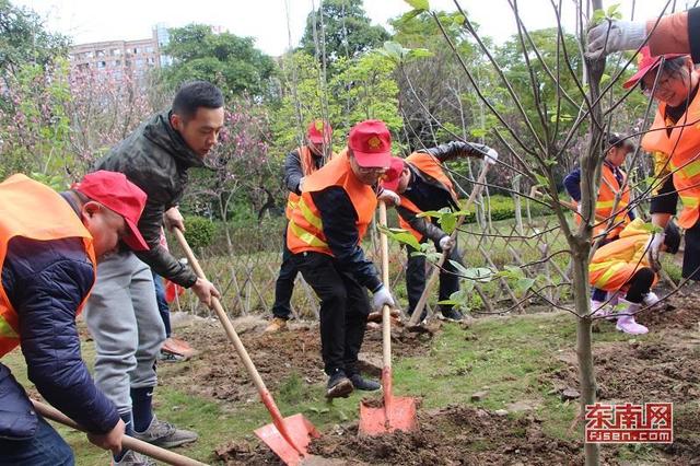 闽江公园举办植树节活动 200多人“插秧”打造绿色生态江岸 