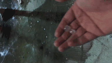 龙海多地下冰雹狂风骤雨 行道树被吹倒
