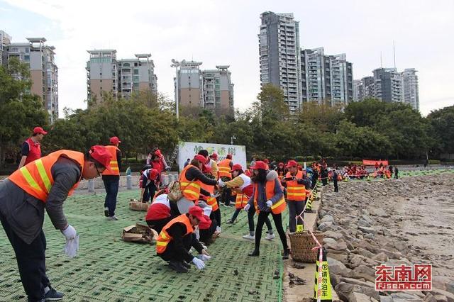 闽江公园举办植树节活动 200多人“插秧”打造绿色生态江岸图1