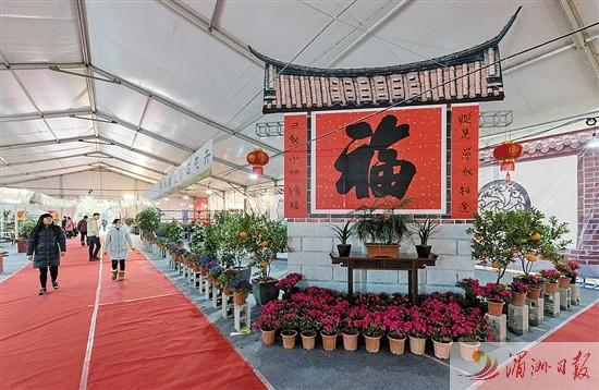 莆田市举行迎春花展 上千盆花卉绿植齐亮相