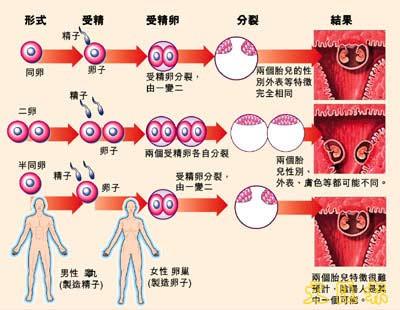 性与人口_人口与国情手抄报(3)