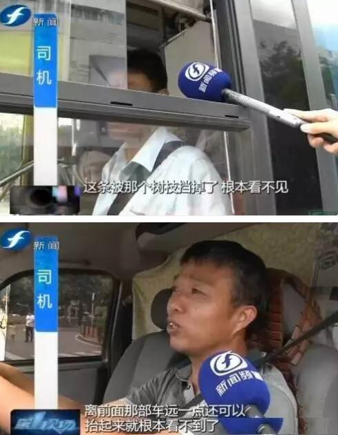福州一路口信号灯隐蔽找不到 司机直呼危险
