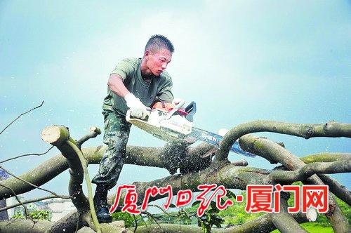厦举办抗御莫兰蒂摄影展 300多张照片现感人场