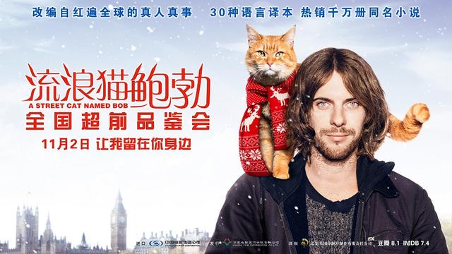 宣言《v宣言猫鲍勃》在厦举行开启朋友姐姐告白看片海报的电影1韩国电影百度云图片